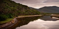 Wilson's Promontory National Park Day Tour image 10