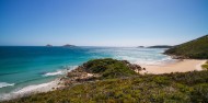 Wilson's Promontory National Park Day Tour image 3
