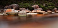 Wilson's Promontory National Park Day Tour image 8