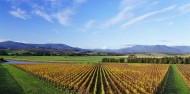 Wine Tours - Yarra Valley Wine Experience image 8