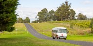 Wine Tours - Yarra Valley Wine Experience image 7