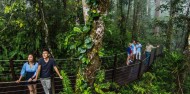 Skyrail Rainforest Cableway image 2