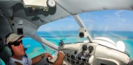 Scenic Flight - Reef and Whitehaven Scenic - Air Whitsunday image 4