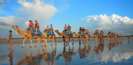 Camel Rides - Broome Camel Safaris image 2