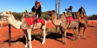 Camel Rides - Uluru Camel Tours image 6