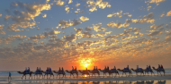 Camel Rides - Broome Camel Safaris image 1