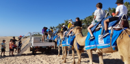 Camel Rides - Broome Camel Safaris image 3