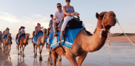 Camel Rides - Broome Camel Safaris image 4