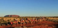Camel Rides - Uluru Camel Tours image 5