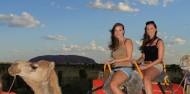 Camel Rides - Uluru Camel Tours image 4