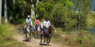 Horse Riding - Blazing Saddles image 1