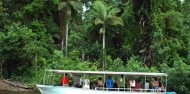 Daintree river cruise