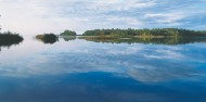 Noosa Everglades - Afternoon River Cruise image 5