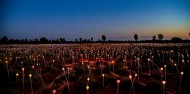 Uluru Sunrise & Field of Light image 2