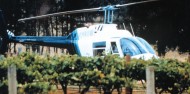 Helicopter Flight - Hunter Valley Luncheon image 1