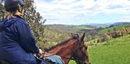 Horse Riding - Horse Riding Tasmania image 3