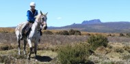 Horse Riding - Cradle Mountain image 1