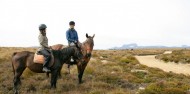 Horse Riding - Cradle Mountain image 3