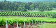 Wine Tours - Hunter Valley Wine Tasting image 2