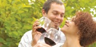 Wine Tours - Hunter Valley Wine Tasting image 1