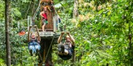 Jungle Surfing - Cape Tribulation image 9