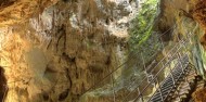 Jenolan Caves & Blue Mountains Day Tour image 4