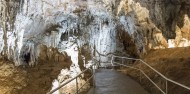 Jenolan Caves & Blue Mountains Day Tour image 2