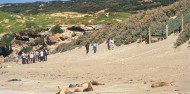 Kangaroo Island Tour image 4