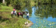 Horse Riding - Blazing Saddles image 5