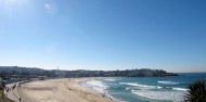 Surfing Bondi - Bondi Local image 4