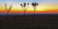 Arnhemland Day Tour image 2