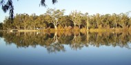 Murray River Day Tour image 2