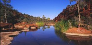 Alice Springs 4WD Outback Safari image 5