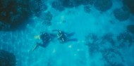 Learn to Dive Course - 5 days - Pro Dive image 5