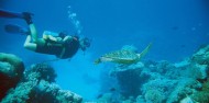 Learn to Dive Course - 5 days - Pro Dive image 10