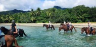 Horse Riding - Cape Tribulation Horse Rides image 2