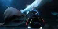 Shark Dive Xtreme - Sydney image 8