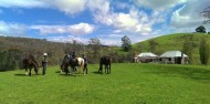 Horse Riding - Horse Riding Tasmania image 2