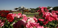 Flemington Racecourse