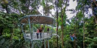 Jungle Surfing - Cape Tribulation image 6