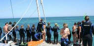 Dolphin Swim - Temptation Sailing image 6