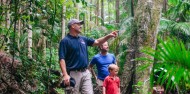 Evening Rainforest, Waterfall & Glow Worm Tour at Tamborine Mountain image 6