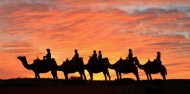 Camel Rides - Uluru Camel Tours image 2