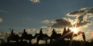 Camel Rides - Uluru Camel Tours image 3