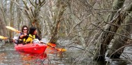 Kayaking - Swan River image 8