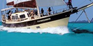 Whitsundays Sailing - 2 days & 1 night - SV Whitehaven image 3