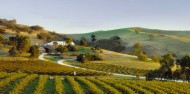 Hunter Valley Wine Tour - Kangarrific Tours image 2