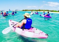 Kayaking - Dolphin & Stradbroke Island Tour