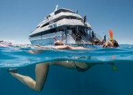 Reef Boat Day Trip - Private Gold Class Experience