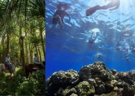 Green Island & Horse Riding Combo